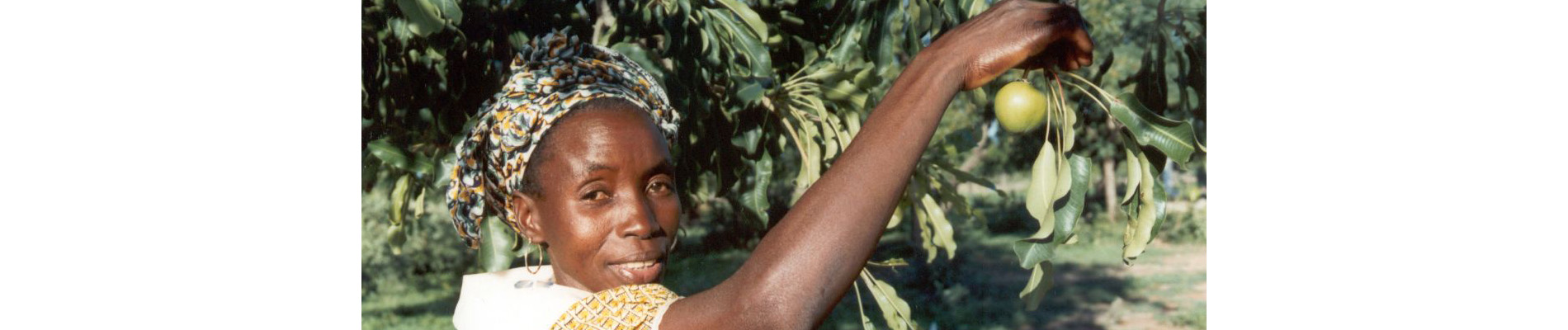 Les fruits maliens de la coopération selon SUCO | SUCO